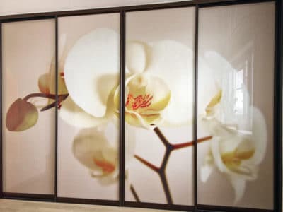 Шкаф-Купе Фотопечать Орхидея
